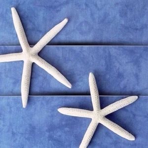 Meet your Posher, Lucy